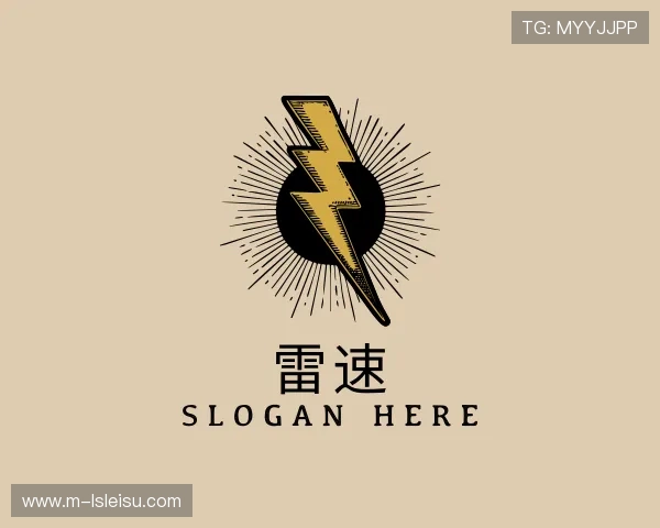 解读雷速